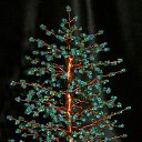 ���� �����, �����, 64 ���� - ��������� 20 ������� 2014 � ������ ���� ��������߻