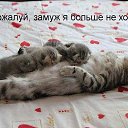 ���� ������, �����-��������� - ��������� 12 ������� 2013 � ������ ������ ������ �� ����