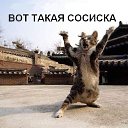 ���� ���, ���������, 23 ���� - ��������� 24 ������� 2013 � ������ ������ ��������