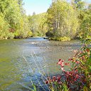 ���� ������, ������, 52 ���� - ��������� 3 ������ 2014 � ������ ���� ����������