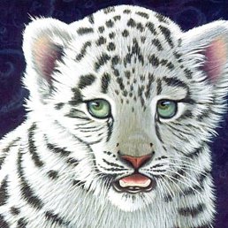 ���������, ������������