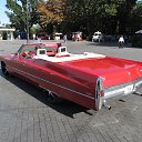 ���� ������, ������ - ��������� 29 ������� 2013 � ������ ���� ����������