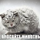 ���� ����, �����, 36 ��� - ��������� 5 ������� 2014 � ������ ���� ����������