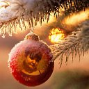 ���� ����, �������, 42 ���� - ��������� 18 ������� 2013 � ������ ���� ����������