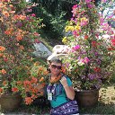 ���� ���, ����������� - ��������� 5 ������� 2013 � ������ ��������-2012�