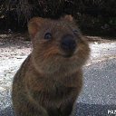 ���� ����, ������, 36 ��� - ��������� 22 ������� 2013 � ������ ���� ����������