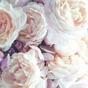 ���� ������, ������, 39 ��� - ��������� 15 ����� 2014 � ������ ������ ��������