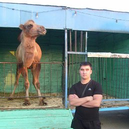 ���� ������, ���������, 40 ��� - ��������� 10 �������� 2013