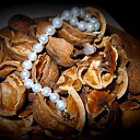 ���� Nata Li Legata, ��������� - ��������� 8 ������� 2013 � ������ ������.�
