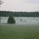 ���� ���������, ������-��-����, 63 ���� - ��������� 6 ������� 2013 � ������ ���� ����������