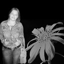 ���� ����������, �������, 41 ��� - ��������� 29 ������ 2013 � ������ ���� ����������