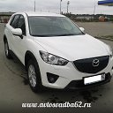 ���� ���������, ������� ������, 39 ��� - ��������� 8 ������� 2014 � ������ ���� ����������