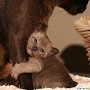 ���� ����, ������, 61 ��� - ��������� 30 ������� 2013 � ������ ���� ����������