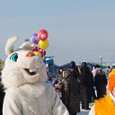  , , 46  -  2  2014     2014