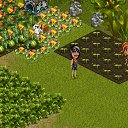 ���� ����, ������, 55 ��� - ��������� 11 �������� 2013 � ������ �Tropikania�