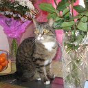 ���� Dima, �����-���������, 22 ���� - ��������� 20 ������� 2014 � ������ ������ ��������