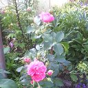 ���� ������, ������������, 48 ��� - ��������� 4 ������� 2013 � ������ ���� ����������