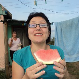 ���� ����, ����������, 54 ���� - ��������� 1 �������� 2013