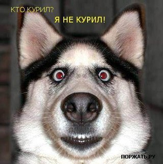 ������ - 20 ������� 2014 � 19:17