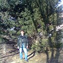 ���� ��������, ����-�����������, 49 ��� - ��������� 9 ������� 2014 � ������ ���� ����������