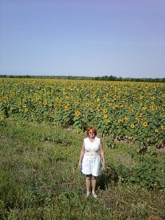 ���� �����, ��������� - ��������� 12 ����� 2014