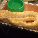 ���� ��������, ��������, 57 ��� - ��������� 17 ������� 2014 � ������ ���� ����������