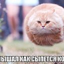 ���� �������, ������, 39 ��� - ��������� 21 ������ 2013 � ������ ������ ��������