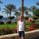 ������ 2014 �� ������� ���� ����������