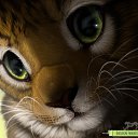���� Cat, ������, 27 ��� - ��������� 4 ������ 2013 � ������ ���� ����������