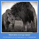 ���� �������, ������ - ��������� 8 ������� 2013 � ������ ���� ����������