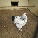 ���� ������, ������, 64 ���� - ��������� 21 �������� 2013 � ������ �� ����� ���� "�������" 18.09.2013�