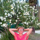 ���� �������, ����, 67 ��� - ��������� 15 ������� 2014 � ������ ������ 2013�