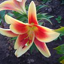 ���� �������, ������� - ��������� 21 ������� 2014 � ������ ������