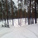 ���� ����, �������� - ��������� 8 ����� 2014 � ������ ������ ��������