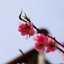 ���� ������, �����-���������, 61 ��� - ��������� 31 ������� 2013 � ������ ������� ������ 2013�