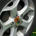 ���� �������, �����-��������� - ��������� 26 �������� 2013 � ������ ���� ����������
