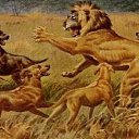 ���� << �����, ���������, 35 ��� - ��������� 31 ������� 2013 � ������ ������� � ������� �������,��� ����� ���� ����� ?? :))�