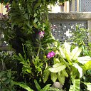 ���� ��������, ������, 60 ��� - ��������� 9 ������� 2013