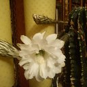 ��� ������ �� ������� ���� ������ ���