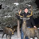 ���� ���������, ��������, 64 ���� - ��������� 23 ������ 2014 � ������ ������ ��������