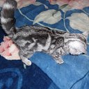 ���� ������, ������, 51 ��� - ��������� 6 ������ 2014 � ������ ���� ����������