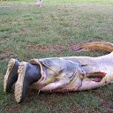 ....��� �� ��� ��� ����������... �� ������� �������....�