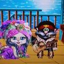  ,  -  11  2013      .