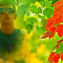 ���� ����, ������������, 41 ��� - ��������� 15 ������ 2014 � ������ ������ ��������