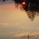 � ���� ���������� � ���� �� ������� ���� ����������