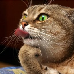  ,  , 45  -  28  2013