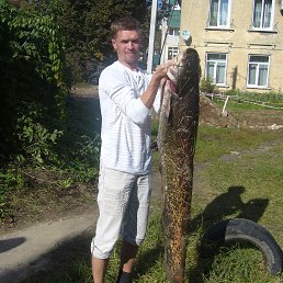 ���� �������, ������, 46 ��� - ��������� 7 ������� 2013