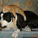 ���� ������, �����������, 25 ��� - ��������� 31 ������� 2013 � ������ ���� ����������