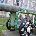 ���� ������, �����-���������, 61 ��� - ��������� 10 ����� 2014 � ������ ������� 2012�