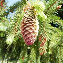 ���� �����, ������-��-����, 60 ��� - ��������� 10 ����� 2014 � ������ ���� ����������